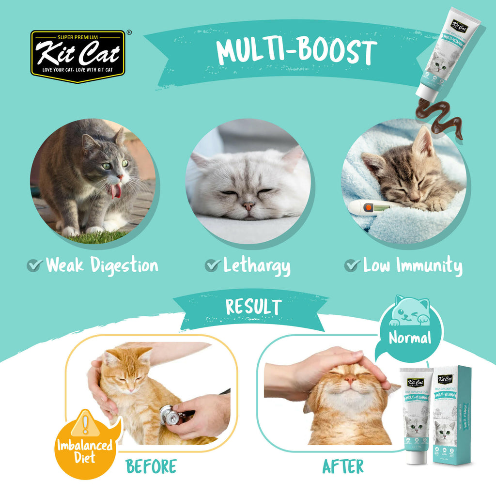 Kit Cat Daily Nutritional Supplement Gel For Cats & Kittens - Hairball (120g).
