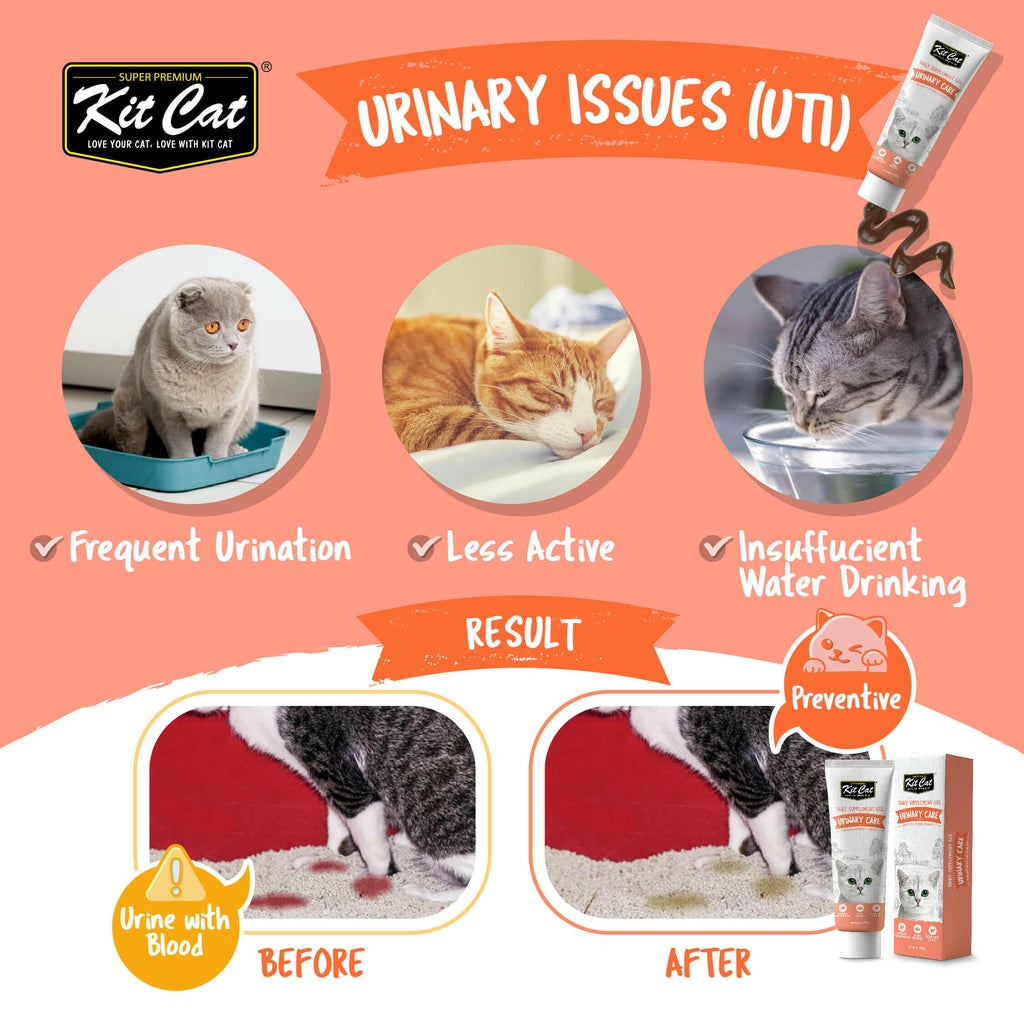 Kit Cat Daily Nutritional Supplement Gel For Cats & Kittens - Hairball (120g).