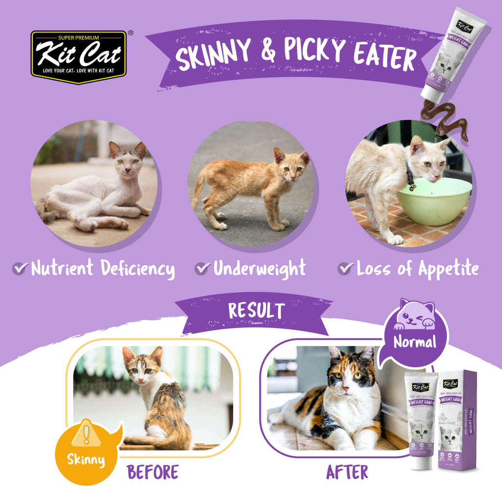 Kit Cat Daily Nutritional Supplement Gel For Cats & Kittens - Hairball (120g).