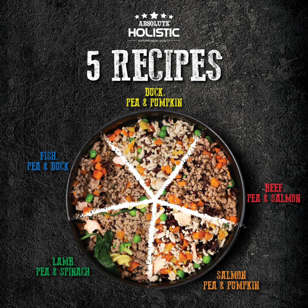 (Trial Pack) Absolute Holistic Home Cooked Style Recipe Gently Cooked Dog Food (125g x 3) - Beef, Peas & Salmon.