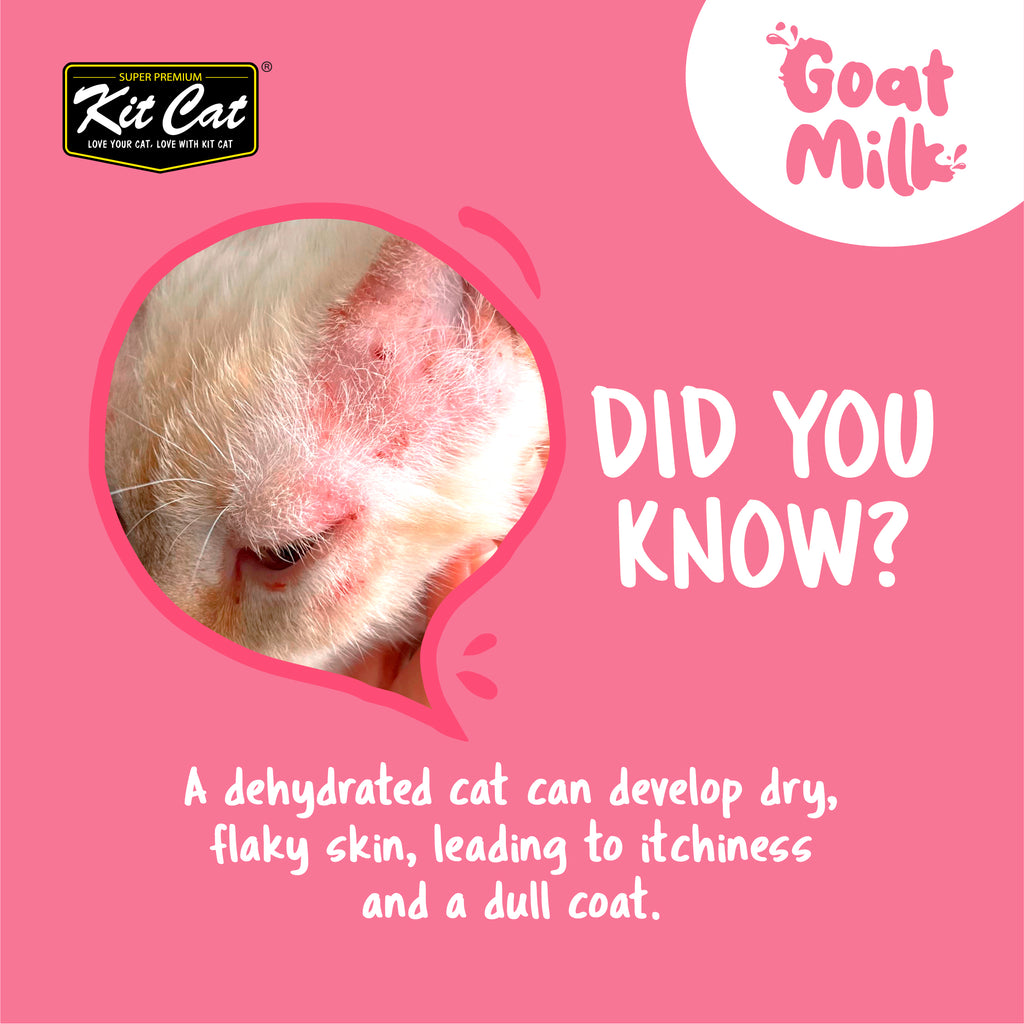 Kit Cat Goat Milk Pouches