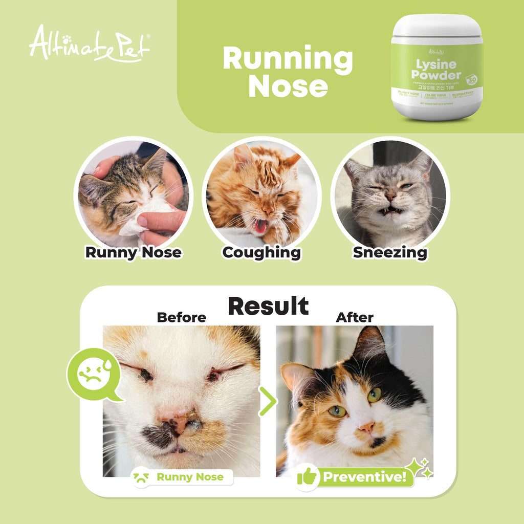 Altimate Pet Supplement Powder for Cats & Kittens - Lysine Powder.