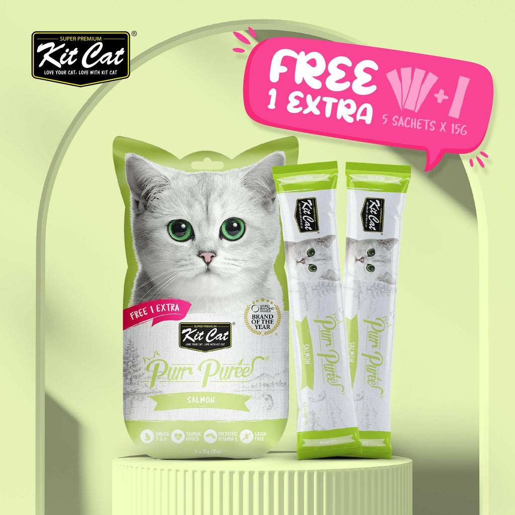 Kit Cat Purr Puree Liquid Treats for Cat - Salmon (15g) | 5 Sticks.