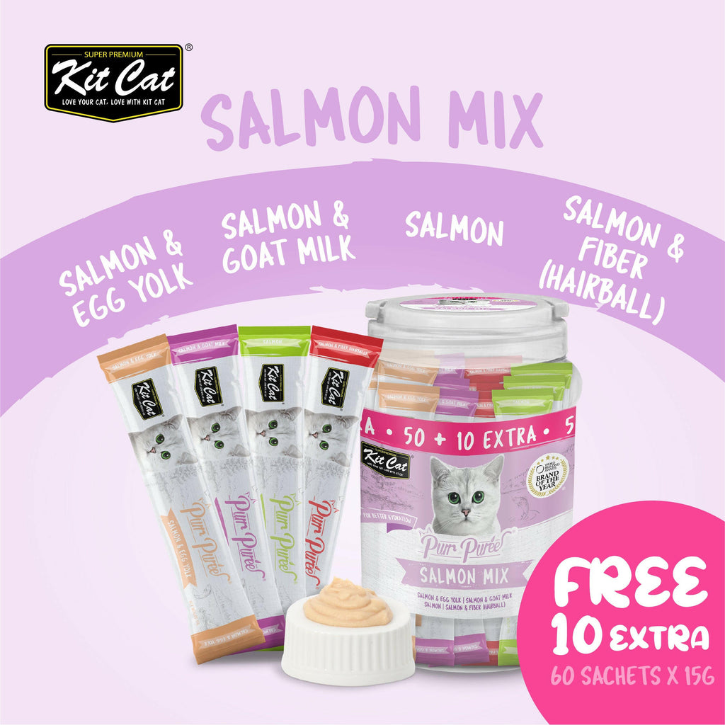 Kit Cat Purr Puree Liquid Treats for Cats - Salmon Mix (15g) | 60 Sticks.