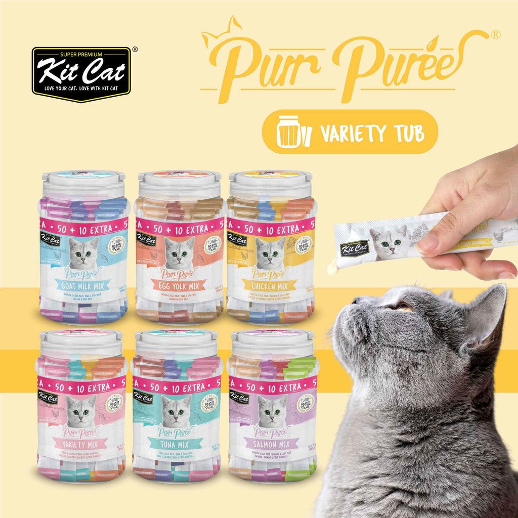 Kit Cat Purr Puree Liquid Treats for Cats - Variety Mix (15g) | 60 Sticks.