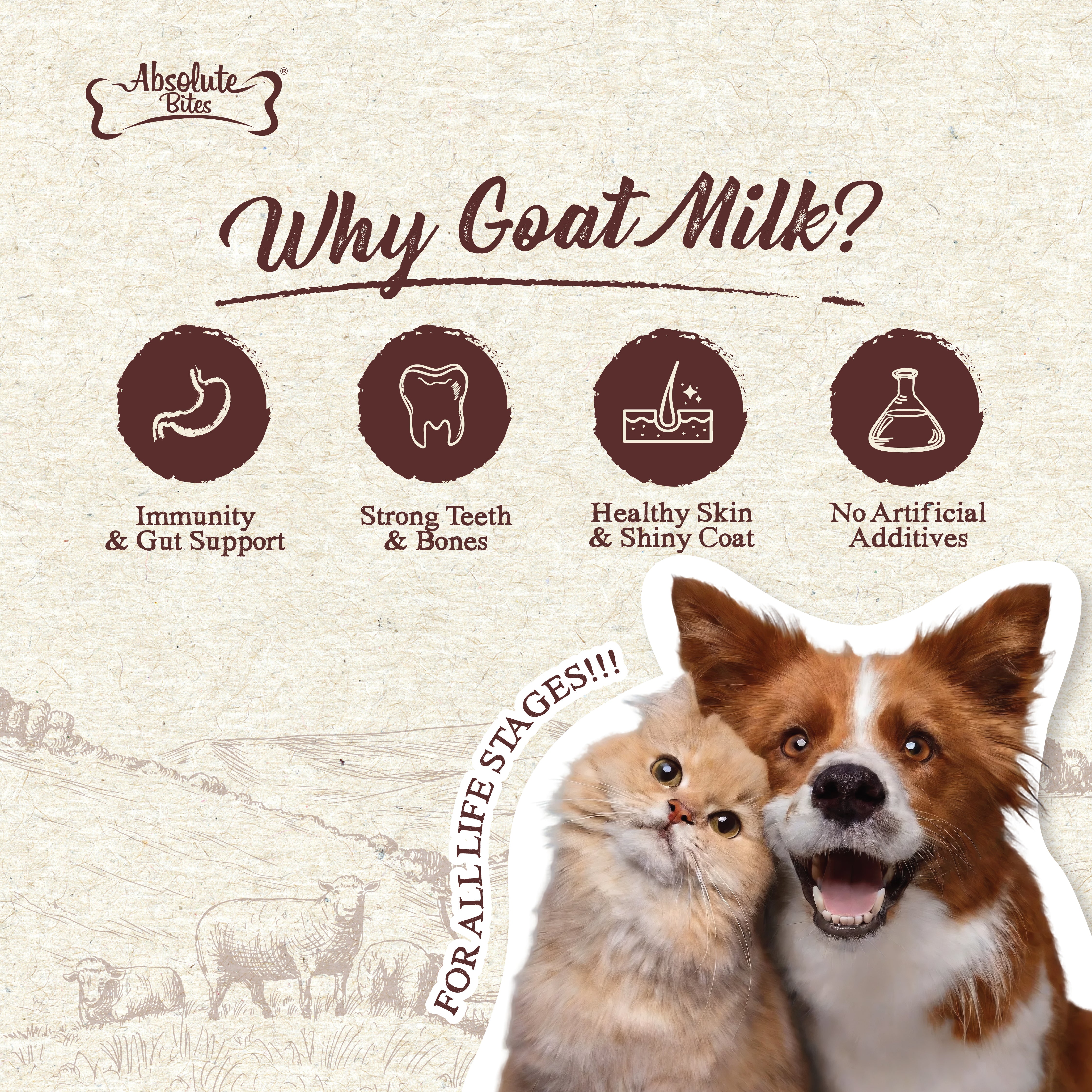 Absloute Goats Absolute Bites Lactose-Free Goat Milk (150ml) - for Cats – B2K Pet