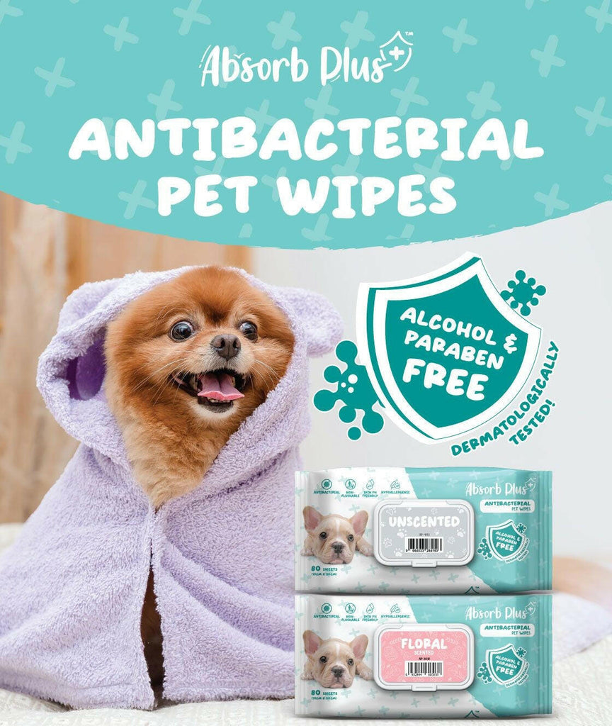 Absorb Plus Antibacterial Pet Wipes - Aloe Vera (80pcs) | Alcohol & Paraben Free.