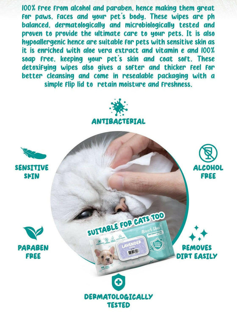 [CTN] Absorb Plus Antibacterial Pet Wipes - Baby Powder (80pcs x 12) | Alcohol & Paraben Free.