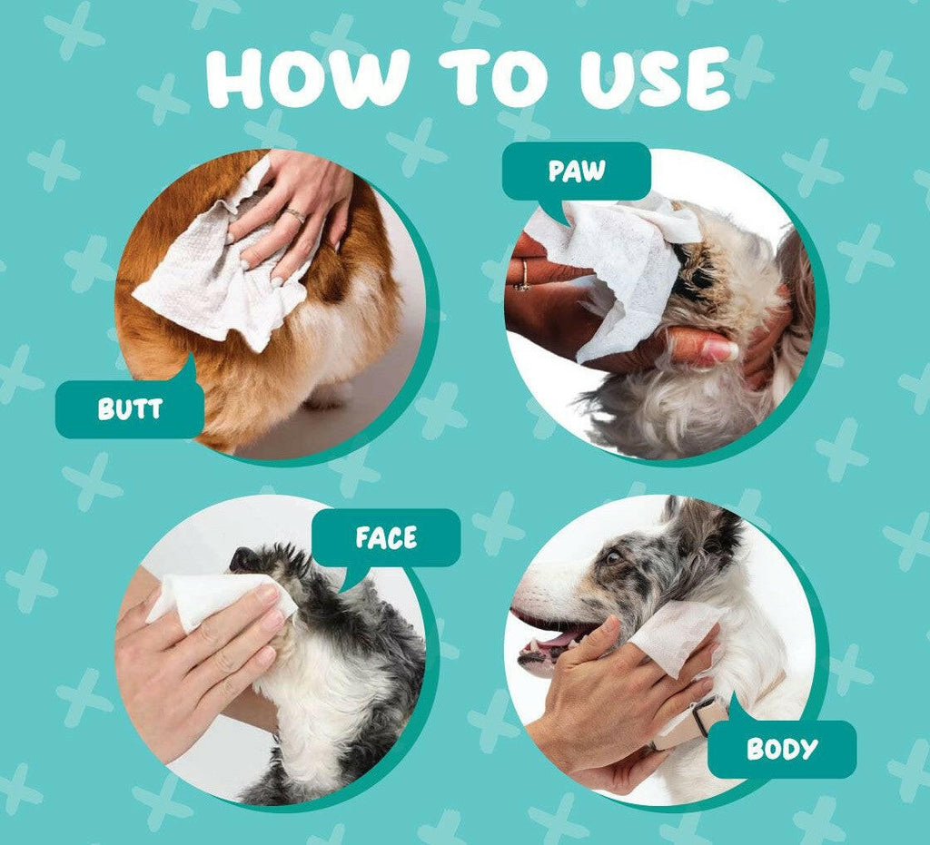Absorb Plus Antibacterial Pet Wipes - Baby Powder (80pcs) | Alcohol & Paraben Free.