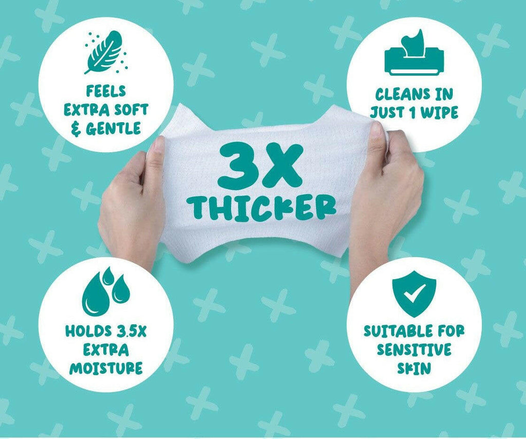 [CTN] Absorb Plus Antibacterial Pet Wipes - Baby Powder (80pcs x 12) | Alcohol & Paraben Free.