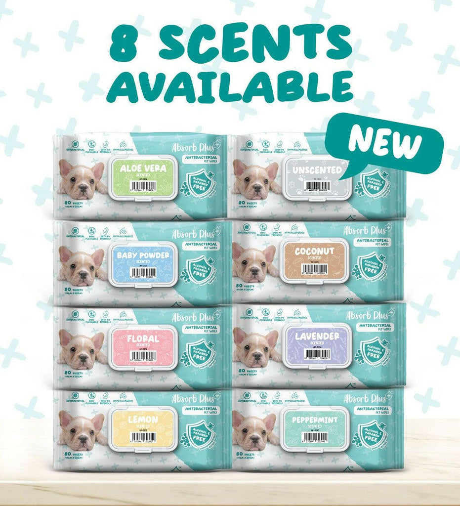 Absorb Plus Antibacterial Pet Wipes - Aloe Vera (80pcs) | Alcohol & Paraben Free.