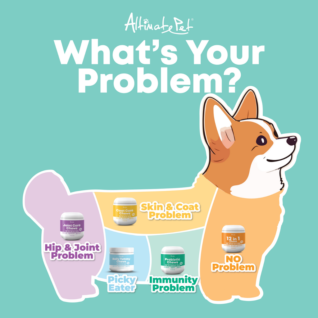 Altimate Pet 12 in 1 Multivitamin Supplement For Dogs - Over 120 Soft Chews (250g).