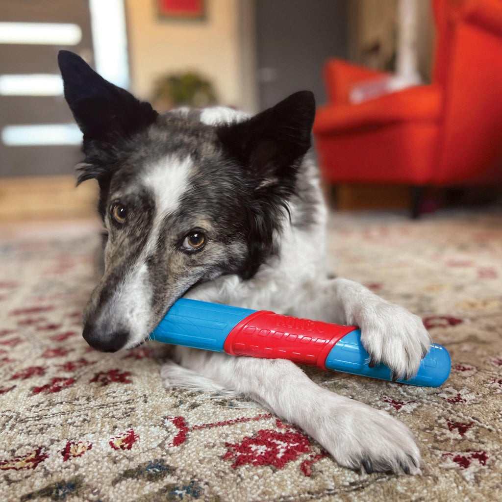 KONG Dog Toy -CoreStrength Rattlez Ball (1 Size).