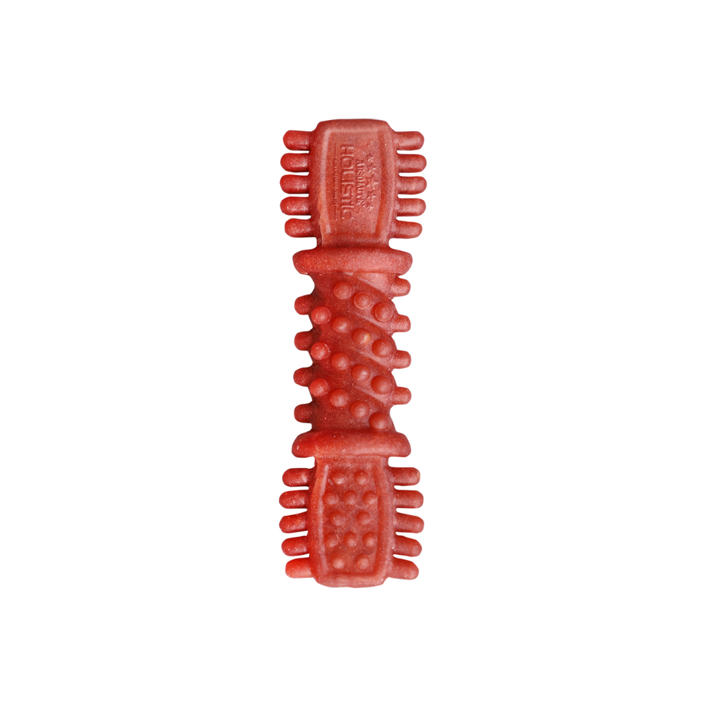 Absolute Holistic Dental Chew for Dogs - Cranberry (4").