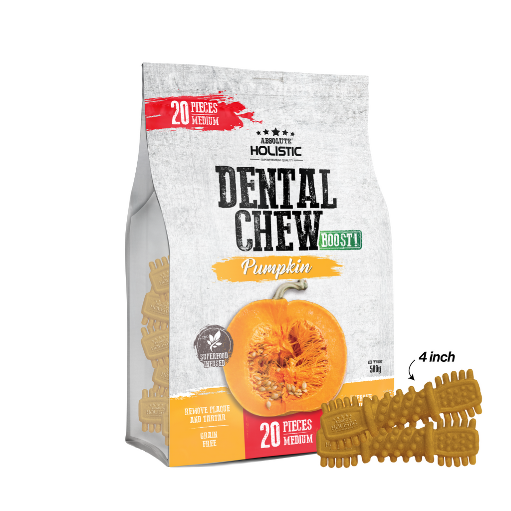 Absolute Holistic Jumbo Pack BOOST Medium Dental Chews for Dogs - Pumpkin (500g).