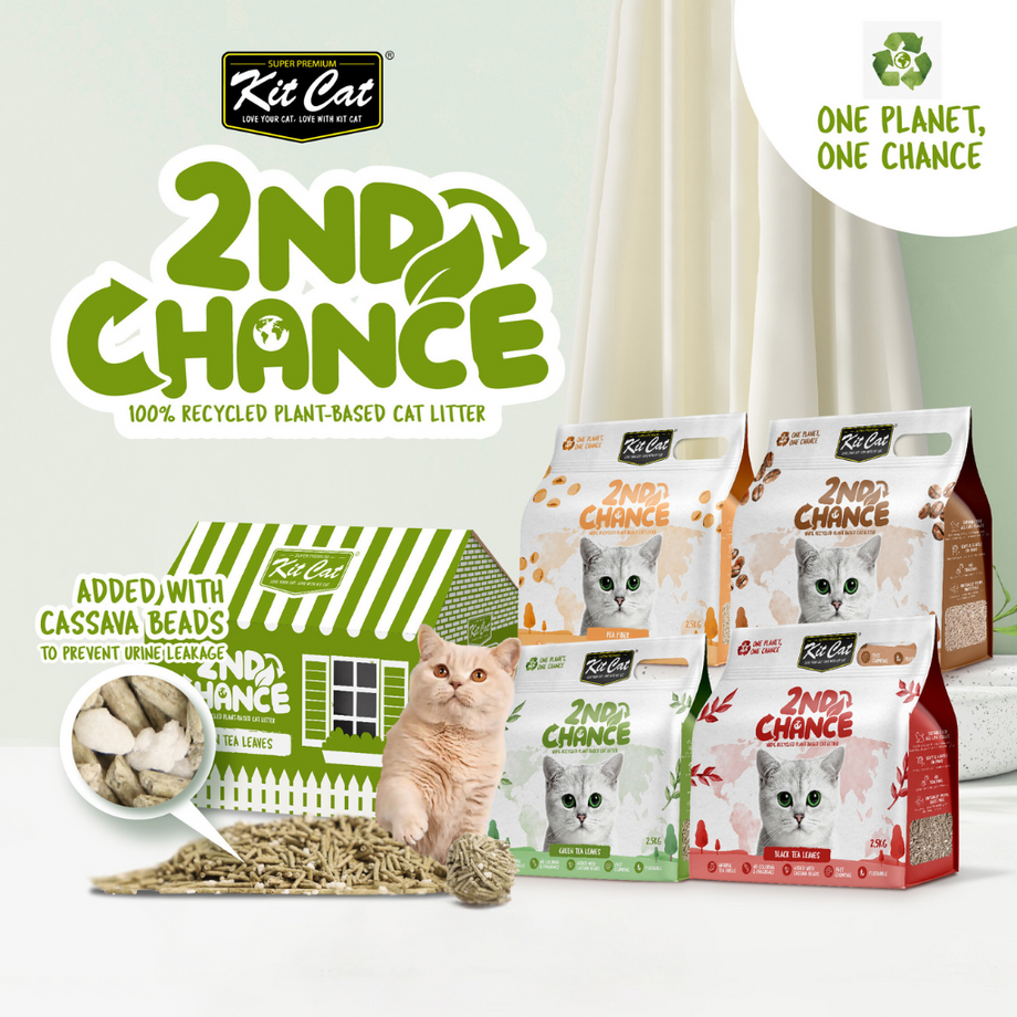 CTN OF 6] Kit Cat 2nd Chance Plant-Based Cat Litter - Pea Fiber