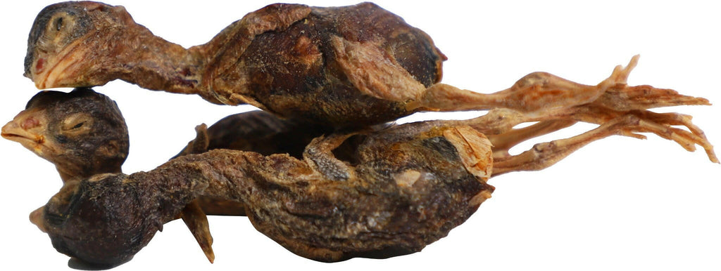 Absolute Bites Single Ingredient Freeze Dried Cat Treats - Quail (25g).