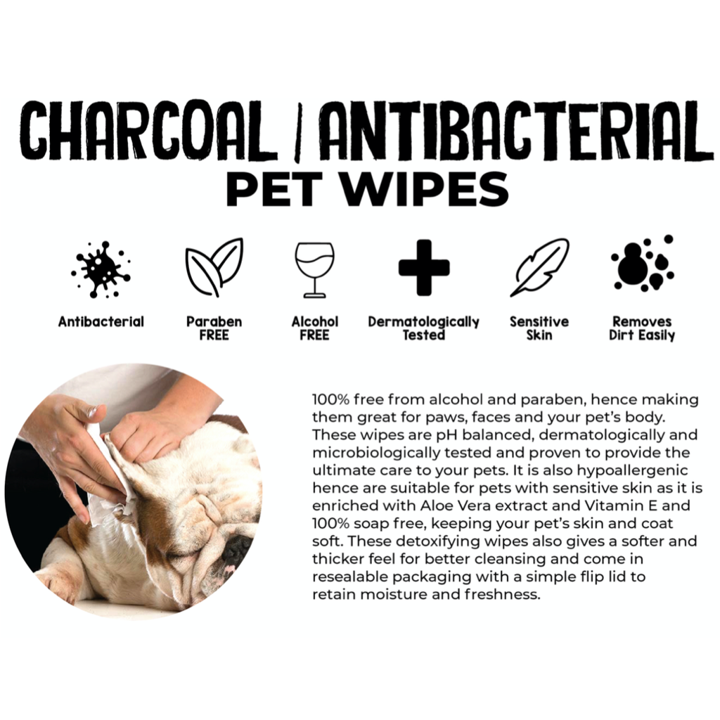 [CTN] Absorb Plus Antibacterial Pet Wipes - Unscented (80pcs x 12) | Alcohol & Paraben Free.