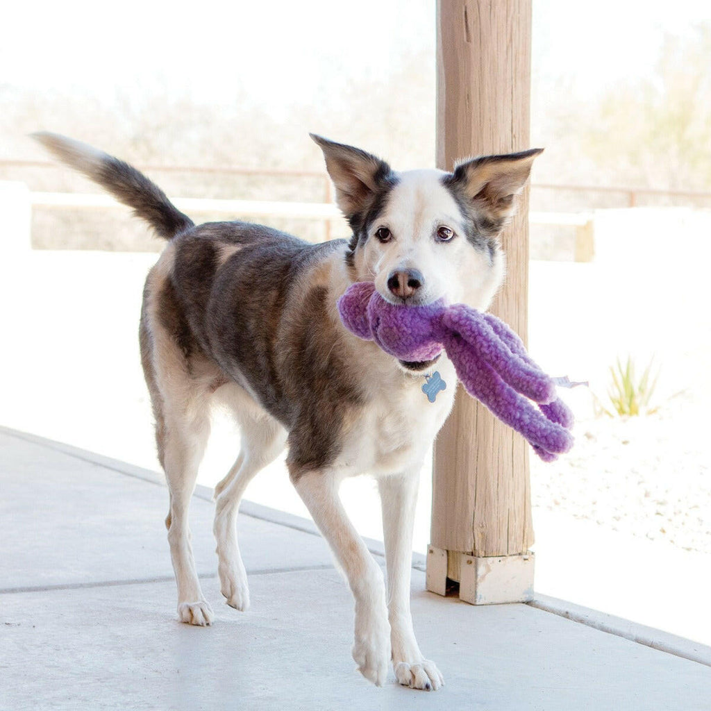 KONG Dog Toy - Snugga Wubba™ Assorted (2 Sizes).