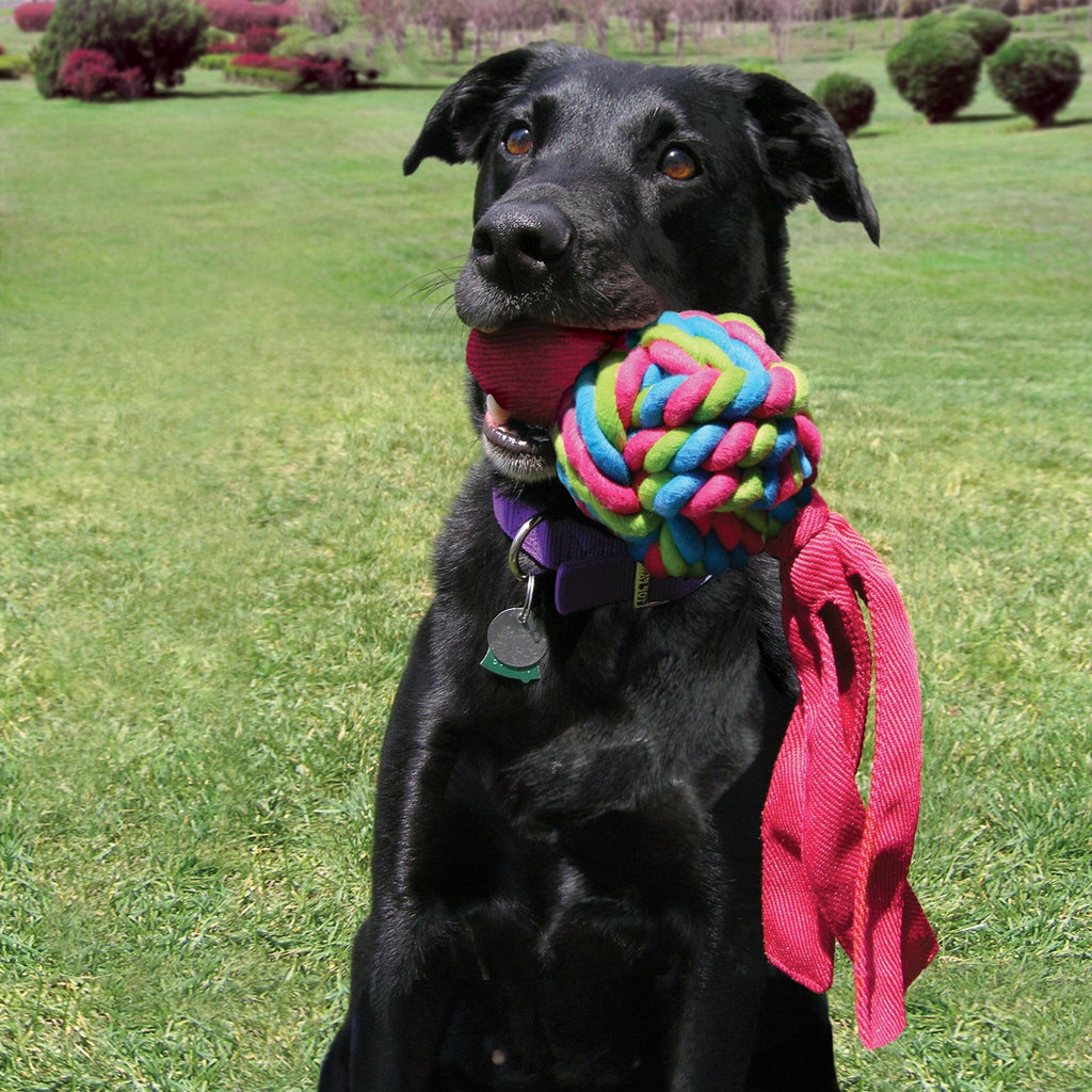 KONG Dog Toy - Wubba™ Weaves Assorted (3 Sizes).
