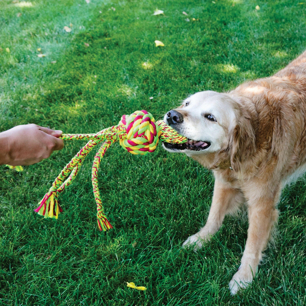 KONG Dog Toy - Wubba™ Weaves with Rope Assorted (3 Sizes).