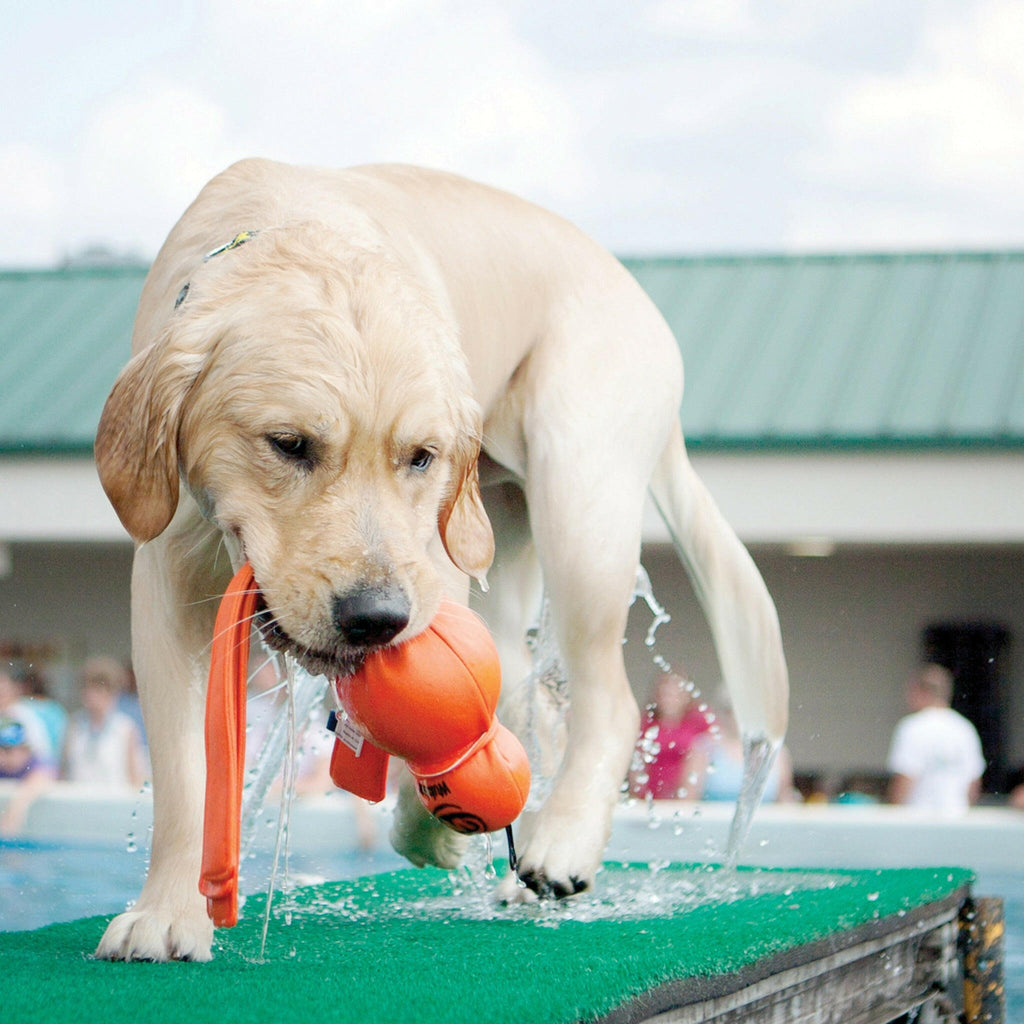 KONG Dog Toy - Wet Wubba™ Assorted (2 Sizes).