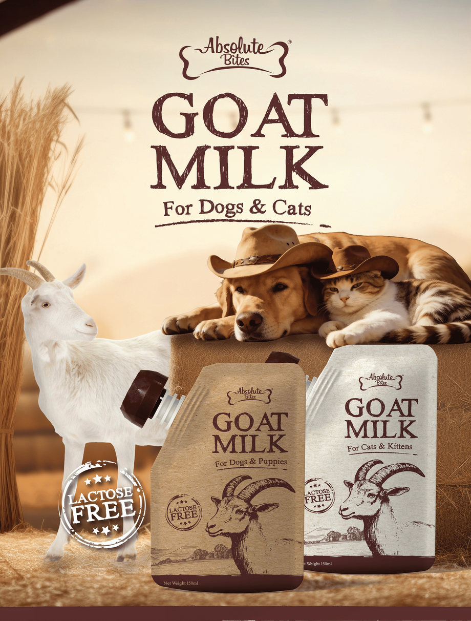 Absolute Bites Lactose-Free Goat Milk (150ml) - for Dogs – B2K Pet