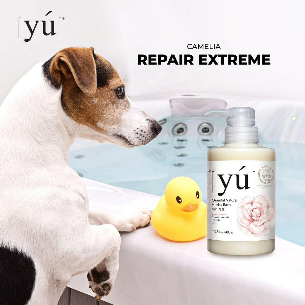 YU Oriental Natural Herbs Bath Shampoo for Cats & Dogs -  Camellia Nourish Formula (400ml).