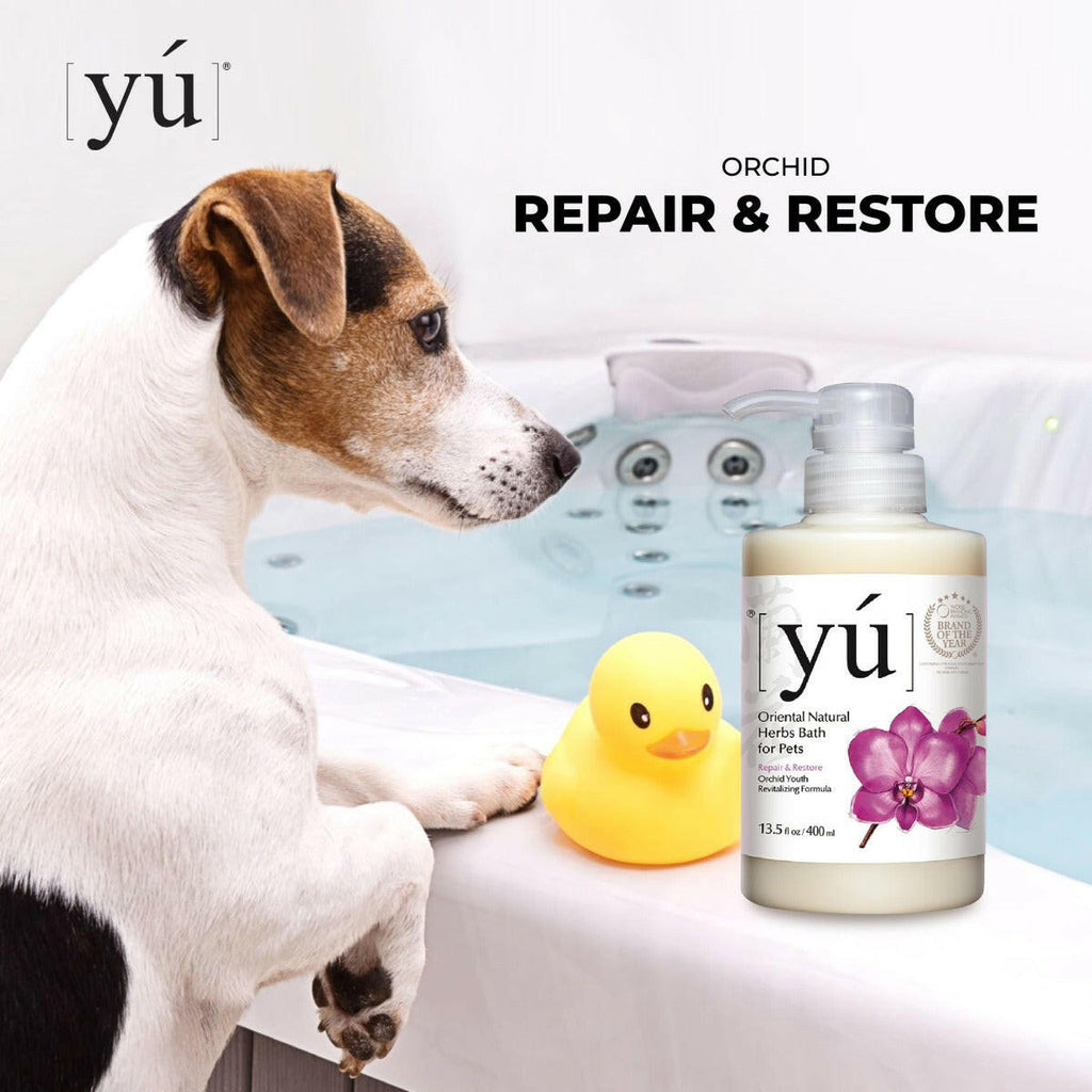YU Oriental Natural Herbs Bath Shampoo for Cats & Dogs -  Orchid Youth Revitalizing Formula (400ml).