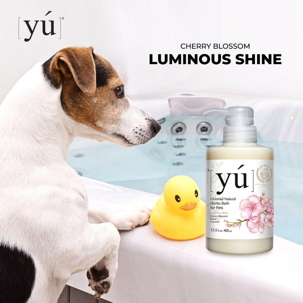 YU Oriental Natural Herbs Bath Shampoo for Cats & Dogs -  Cherry Blossom Shine Formula (400ml).