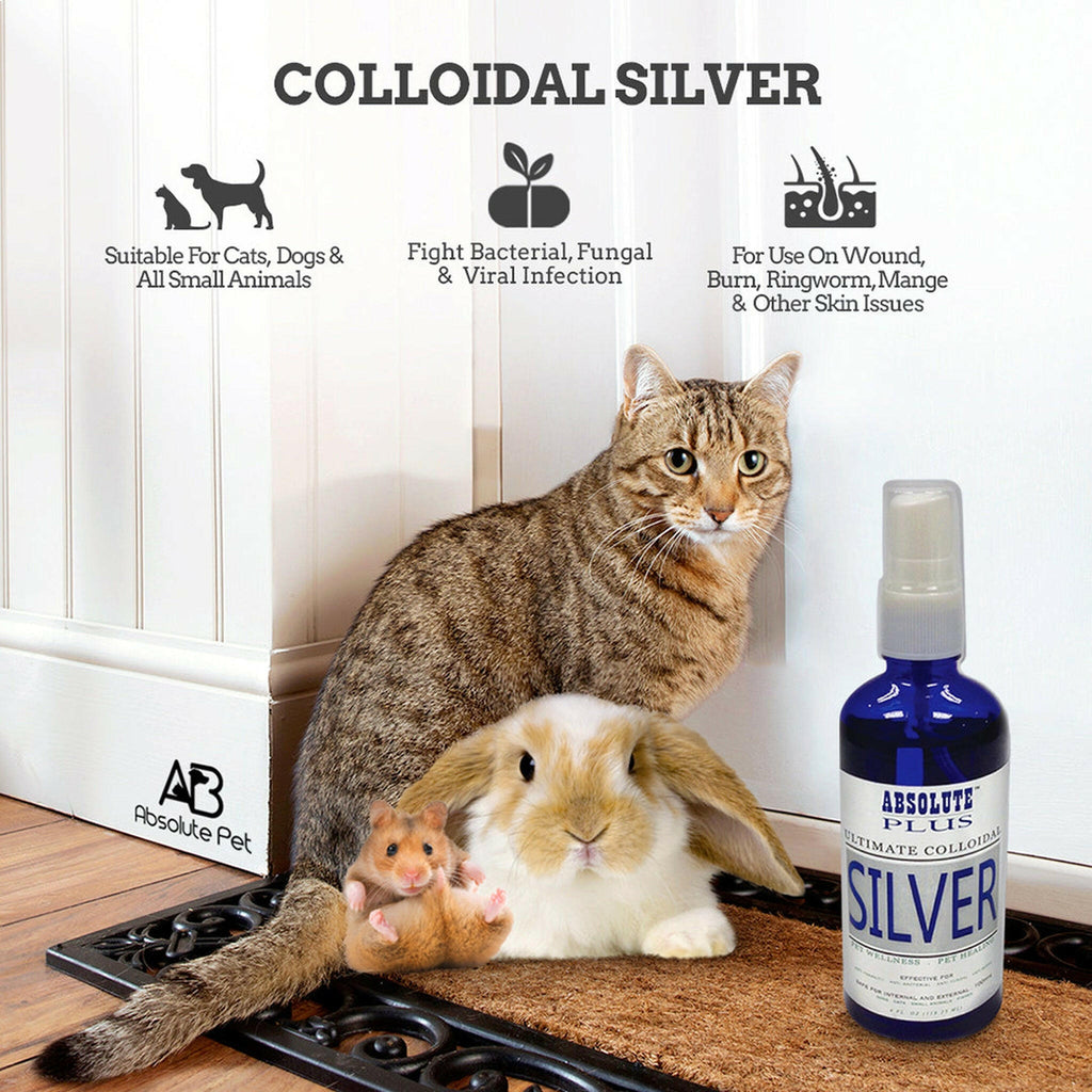 Absolute Plus Ultimate Colloidal Silver (4oz).