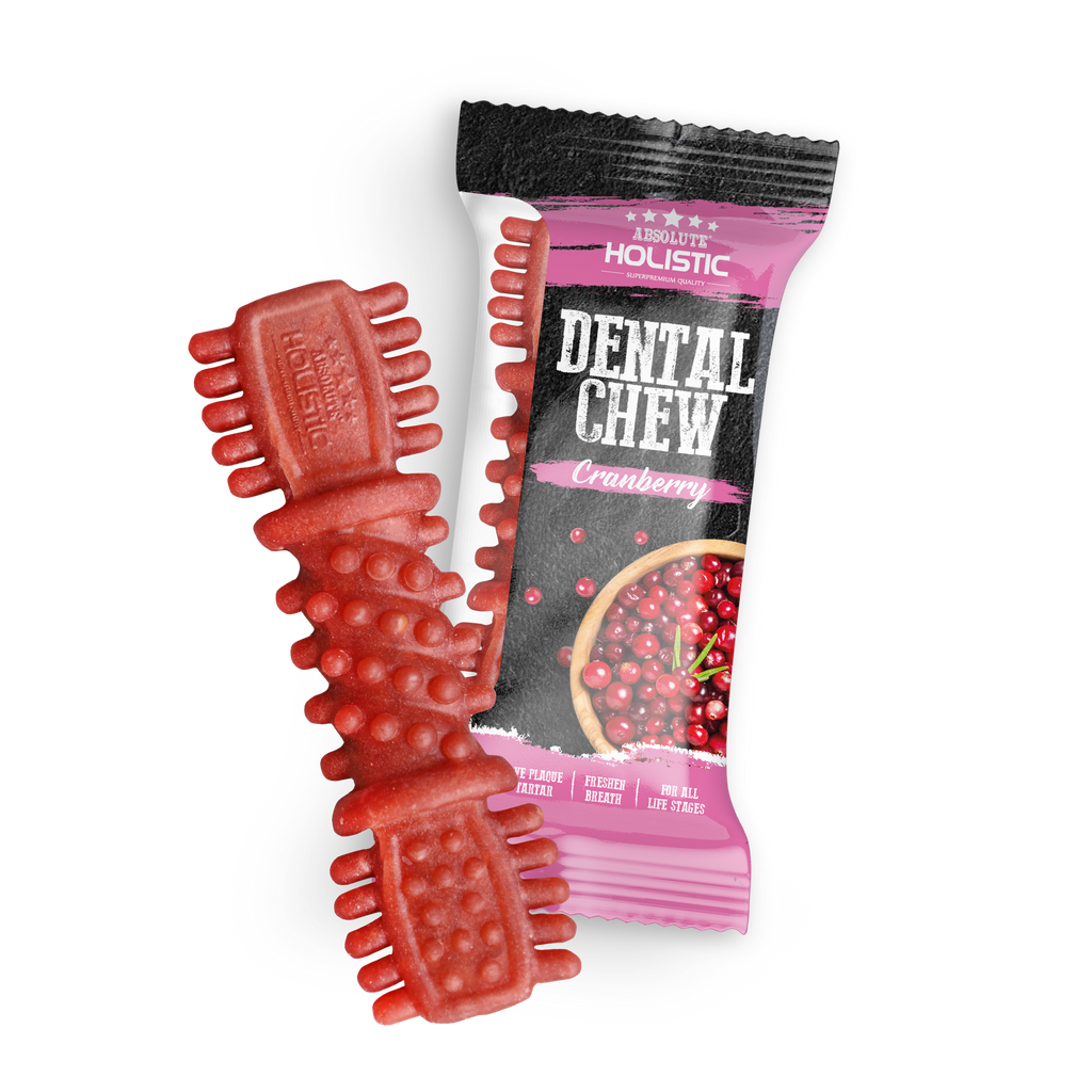 Absolute Holistic Dental Chew for Dogs - Cranberry (4").