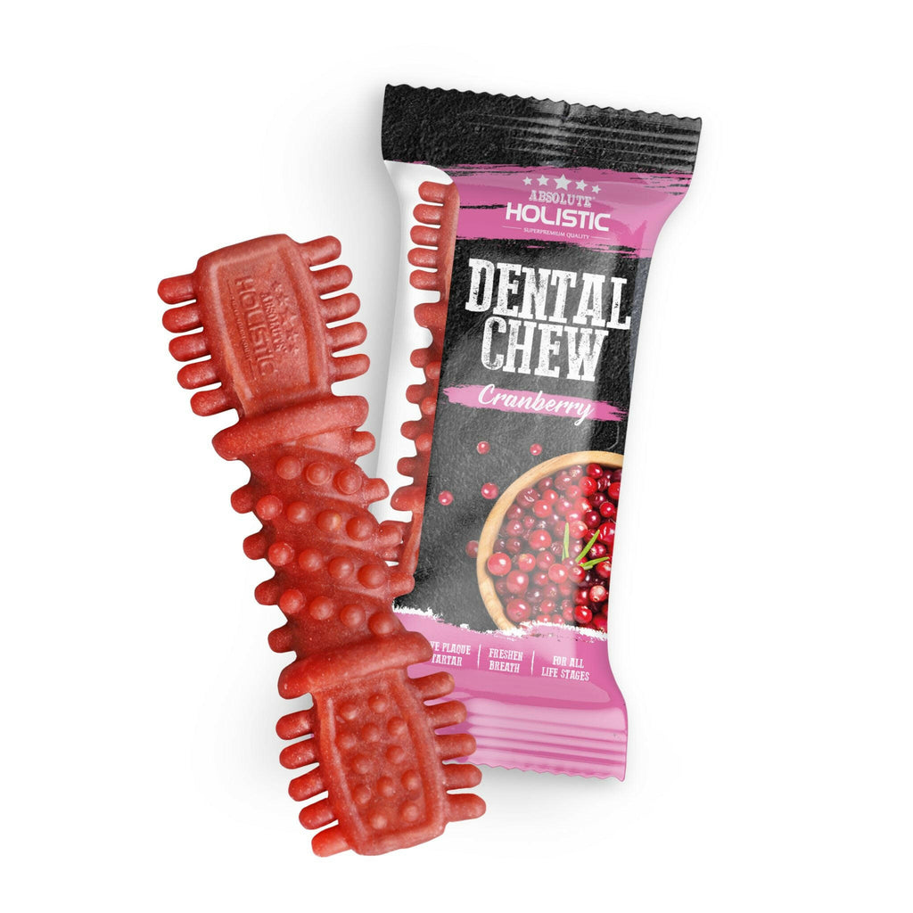 [CTN OF 50] Absolute Holistic Dental Chew for Dogs - Cranberry (4").