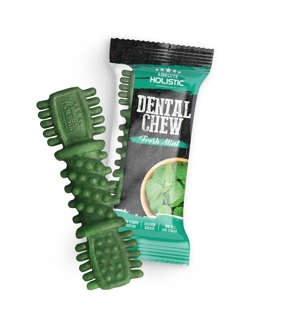 Absolute Holistic Dental Chew for Dogs - Fresh Mint (4").