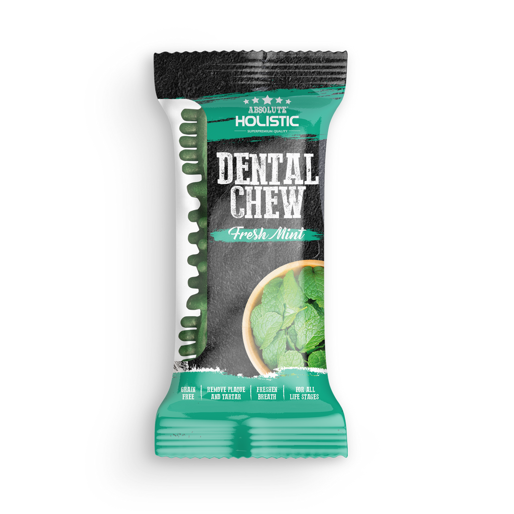 Absolute Holistic Dental Chew for Dogs - Fresh Mint (4").