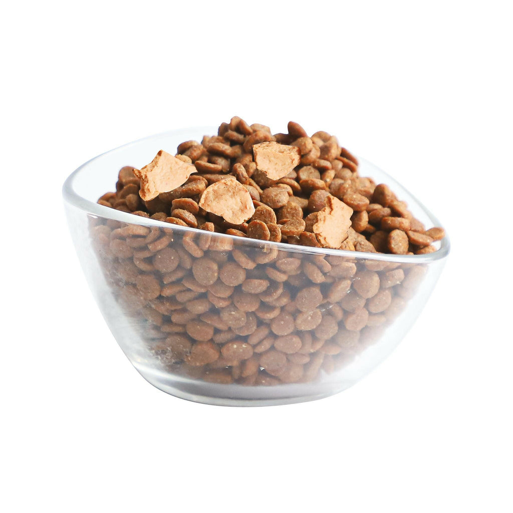 Kit Cat Premium Dry Cat Food  - Chicken Cuisine (5kg).