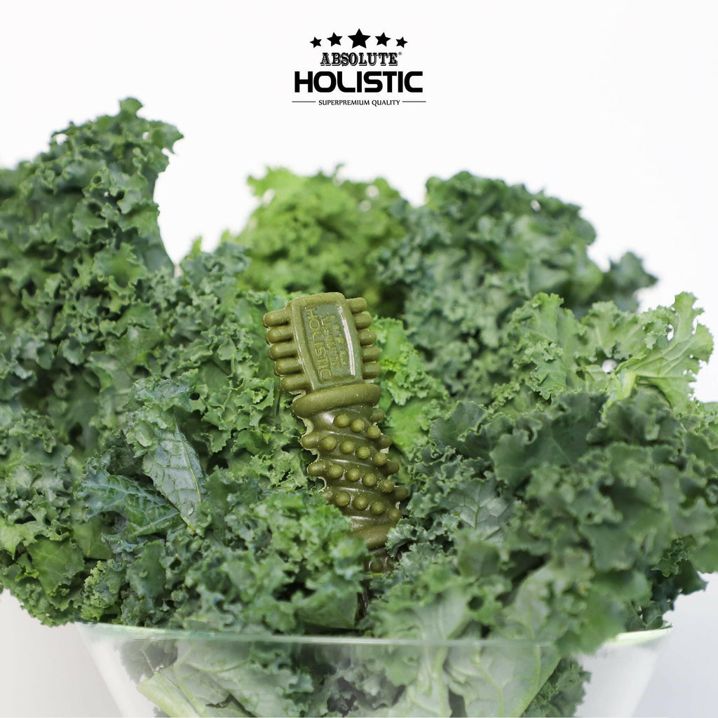 Absolute Holistic Value Pack BOOST Dental Chews for Dogs - Kale (160g).