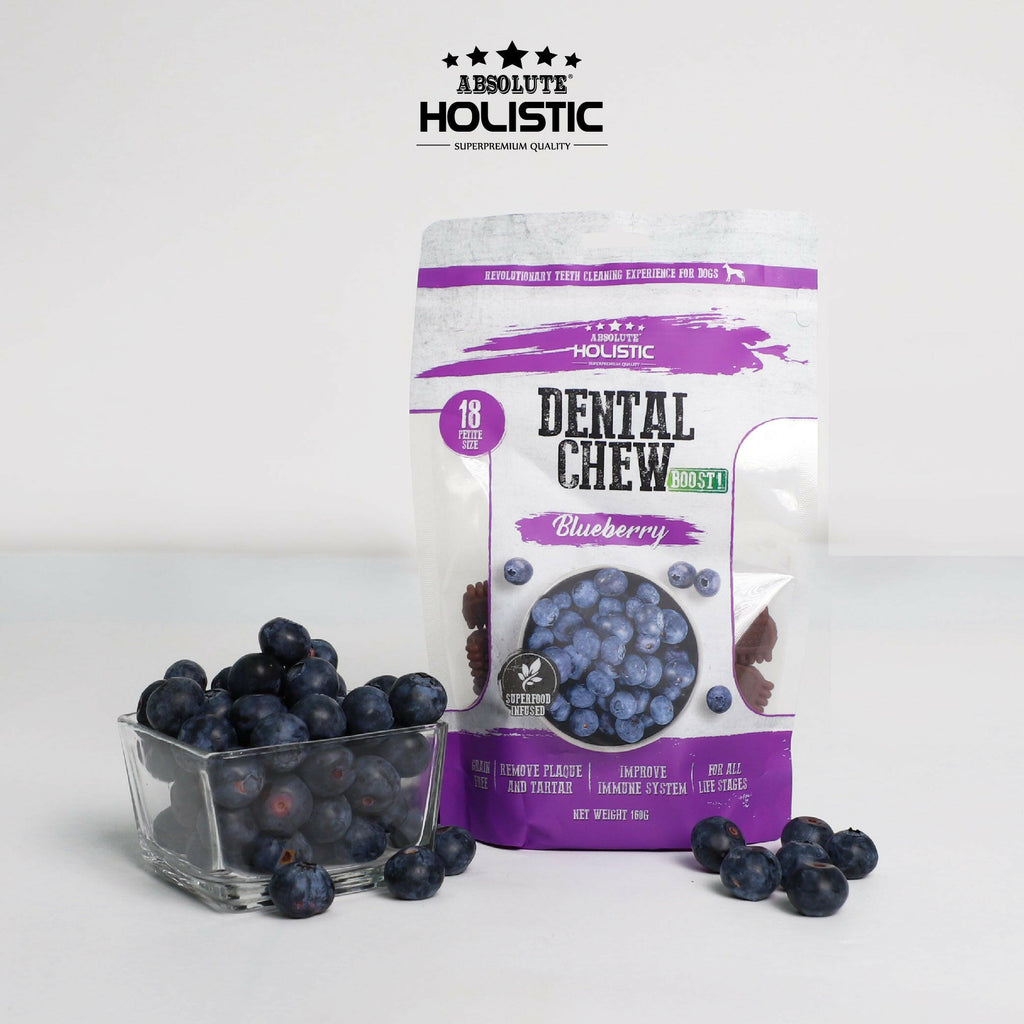 Absolute Holistic Value Pack BOOST Dental Chews for Dogs - Blueberry (160g).