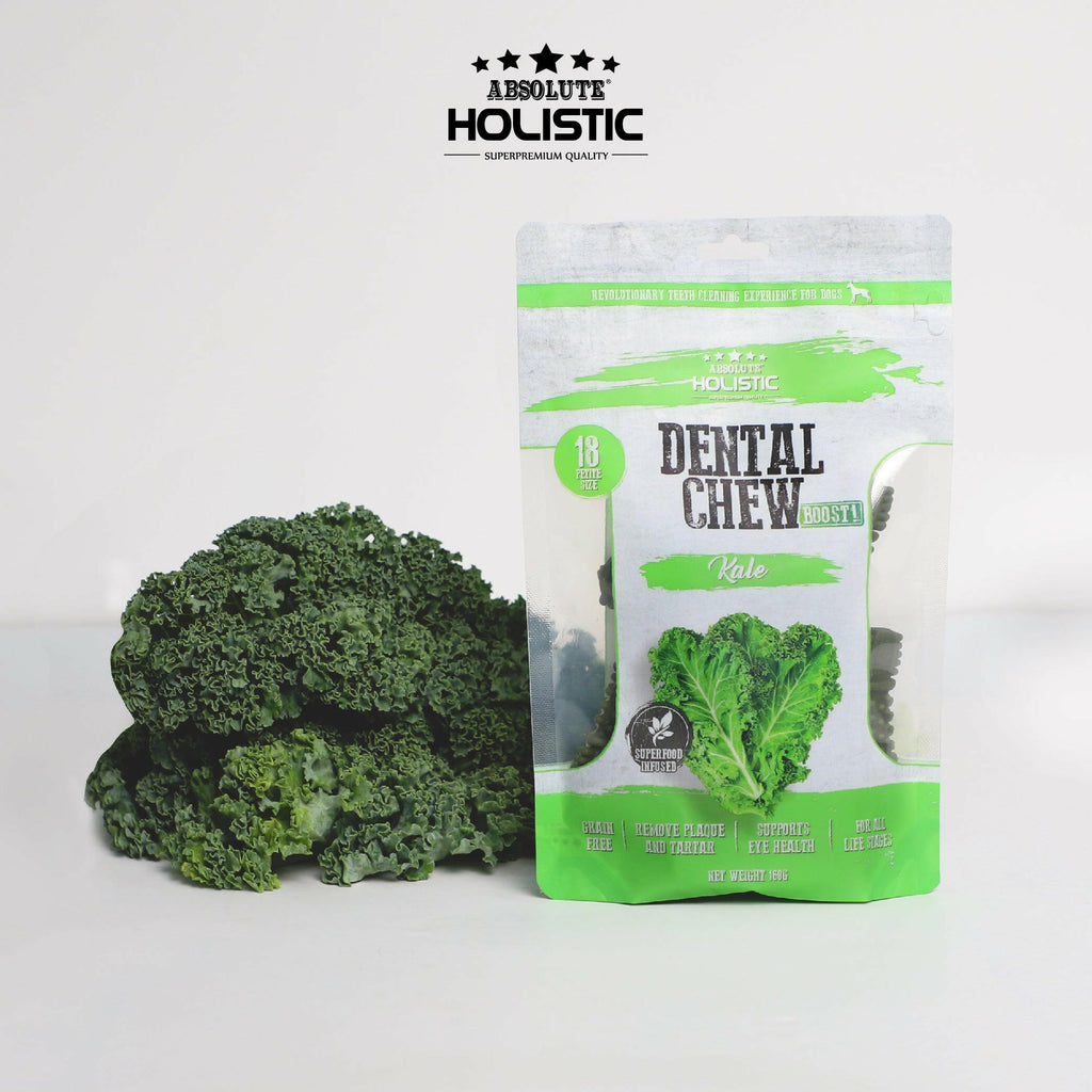 Absolute Holistic Value Pack BOOST Dental Chews for Dogs - Kale (160g).