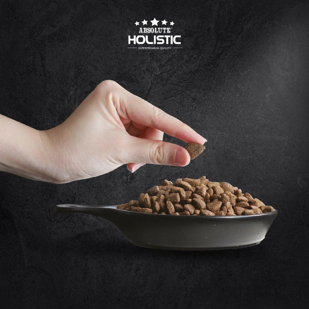 Absolute Holistic Kibbles in the Bag Dry Dog Food - Tuna & Salmon (2kg).