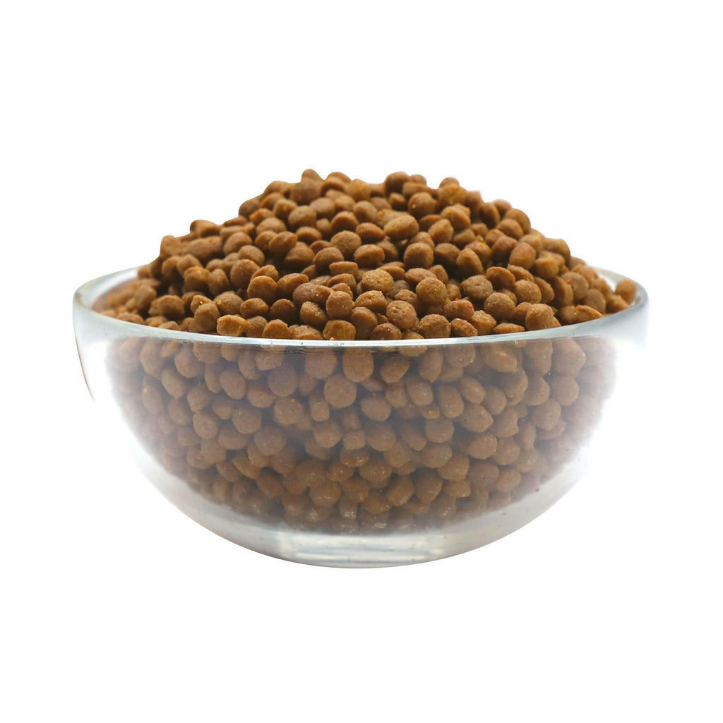 Kit Cat Premium Cat Dry Food -  Kitten & Pregnant (1.2kg).