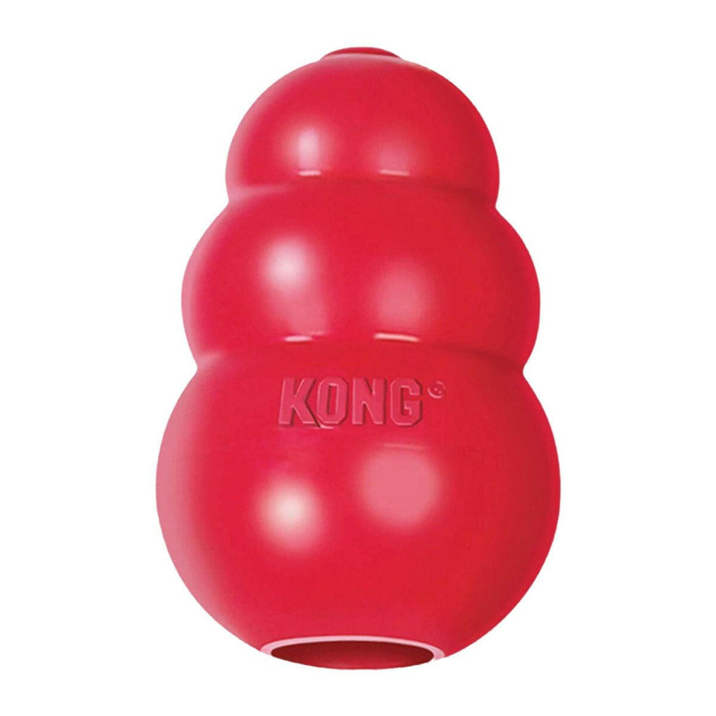 Kong Dog Toy - Classic (6 Sizes).