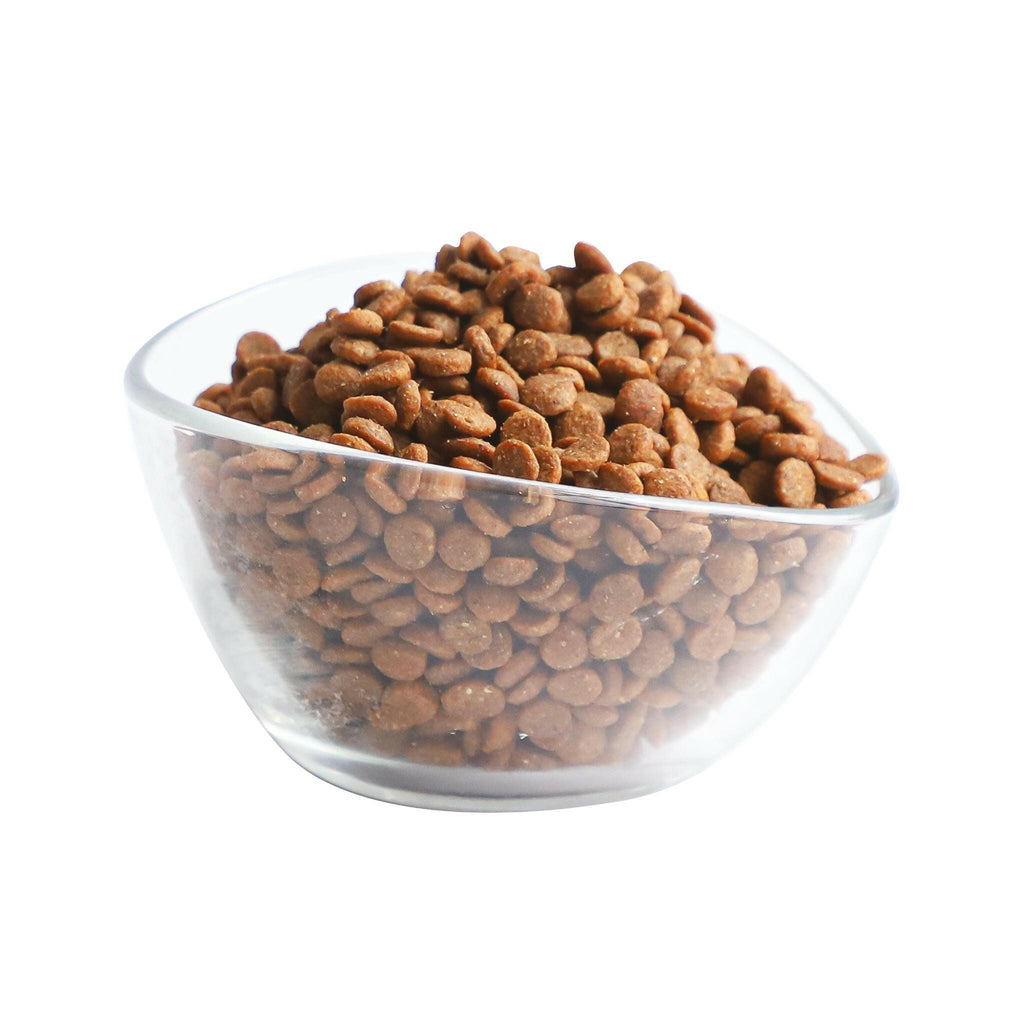 Kit Cat Premium Dry Cat Food  - Pick Of The Ocean (5kg).