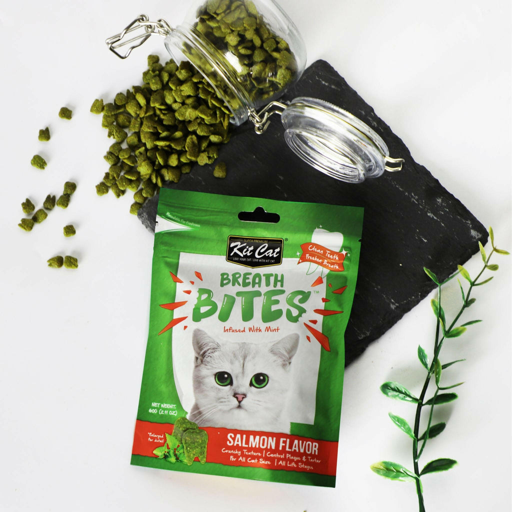 Kit Cat Breath Bites Dental Cat Treats - Salmon (60g).