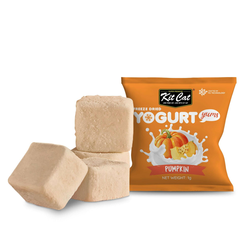 Kit Cat Freeze Dried Yogurt Yums Cat Treat - Pumpkin (10pcs).