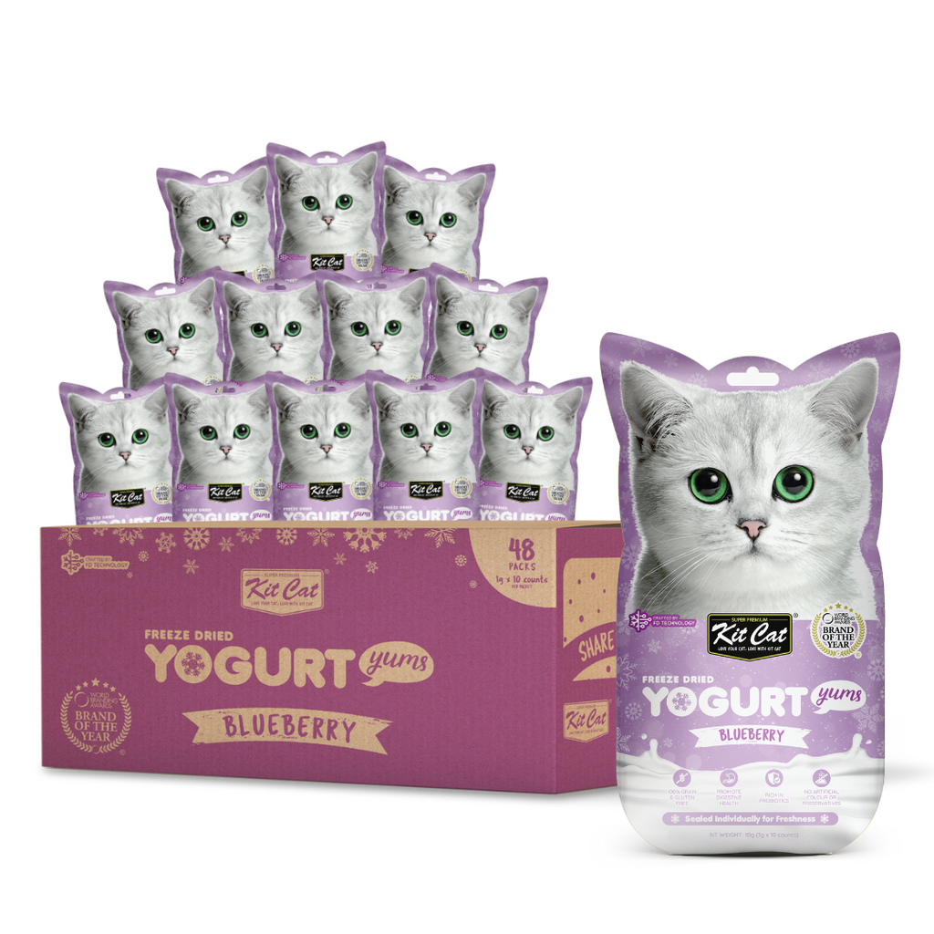 [CTN OF 48] Kit Cat Freeze Dried Yogurt Yums Cat Treat - Blueberry (10pcs/pkt).