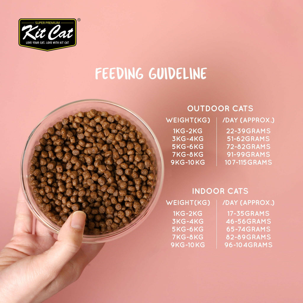 Kit Cat No Grain Dry Cat Food - Chicken & Turkey (1kg).