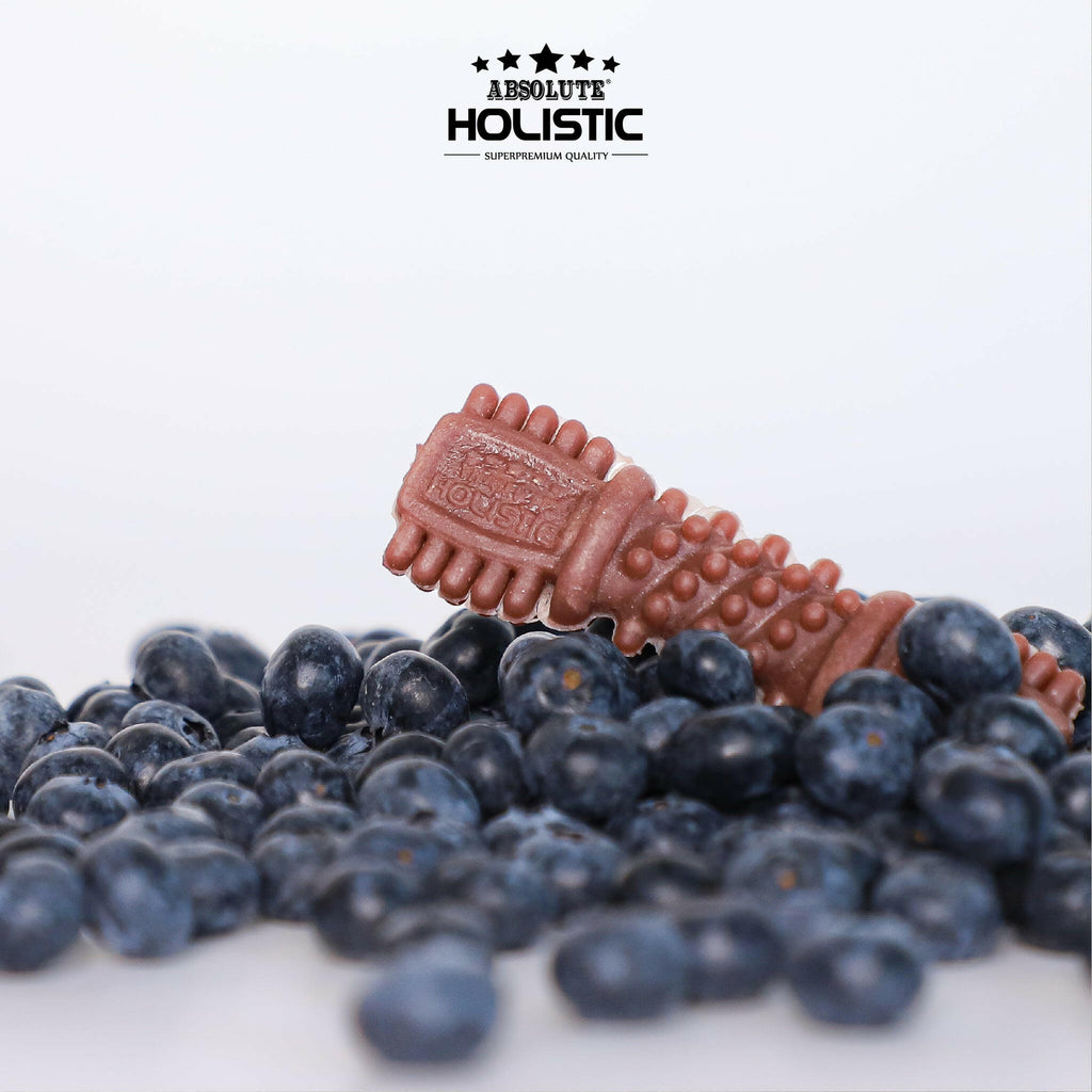 Absolute Holistic BOOST Dental Chew for Dogs - Blueberry (4") | Infused with Superfood.
