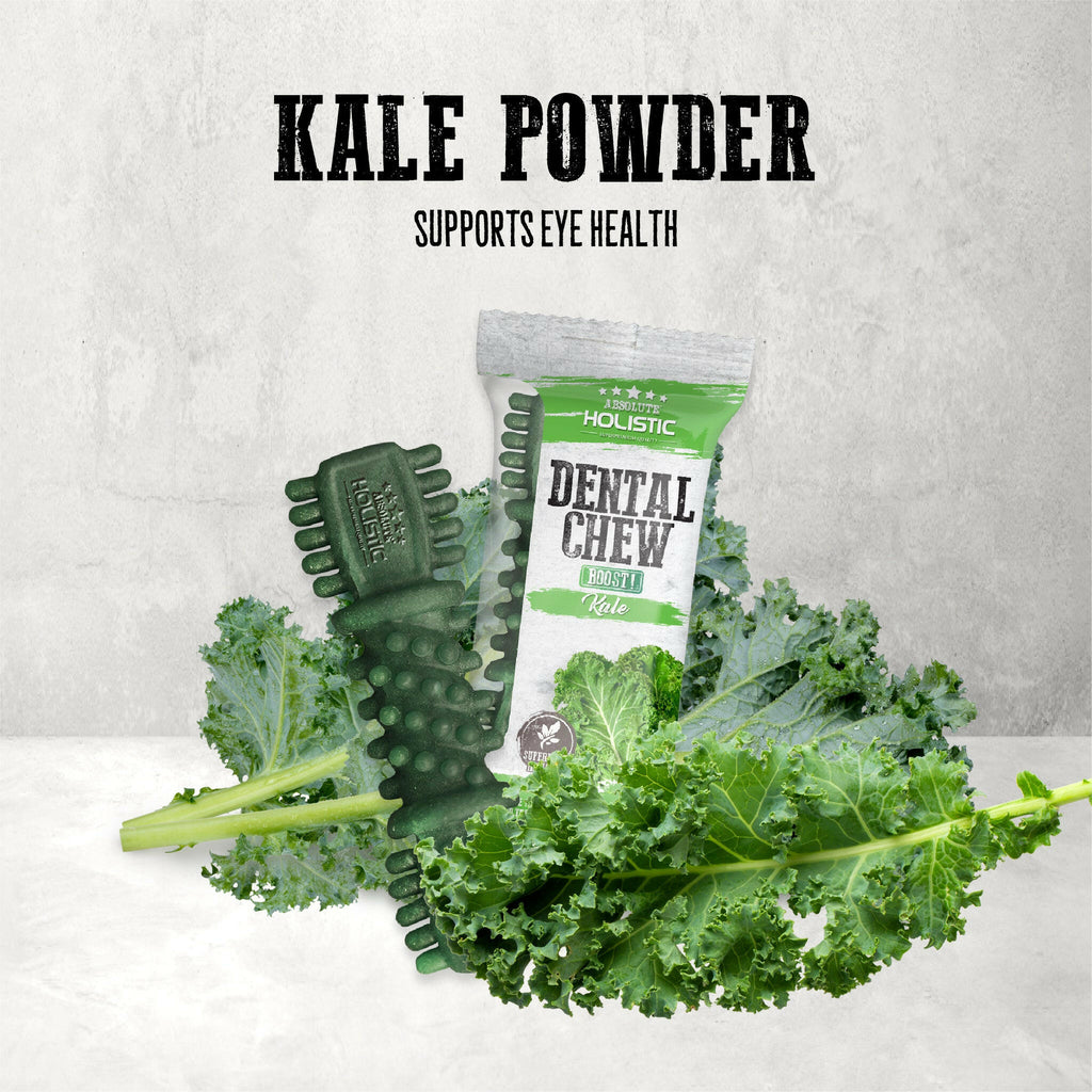 Absolute Holistic BOOST Dental Chew for Dogs - Kale (4") | Infused with Superfood.