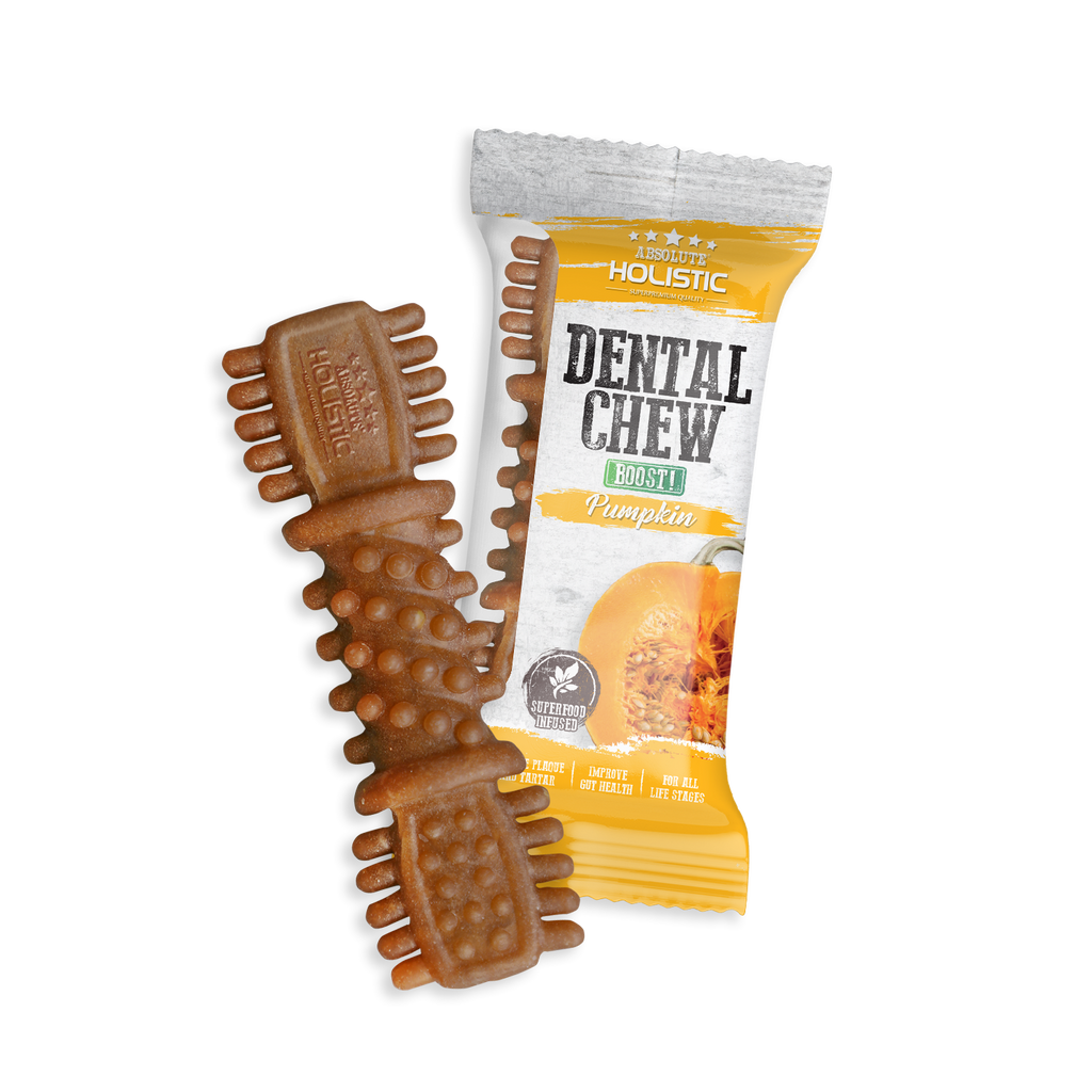 Absolute Holistic BOOST Dental Chew for Dogs - Pumpkin (4") | Infused with Superfood.
